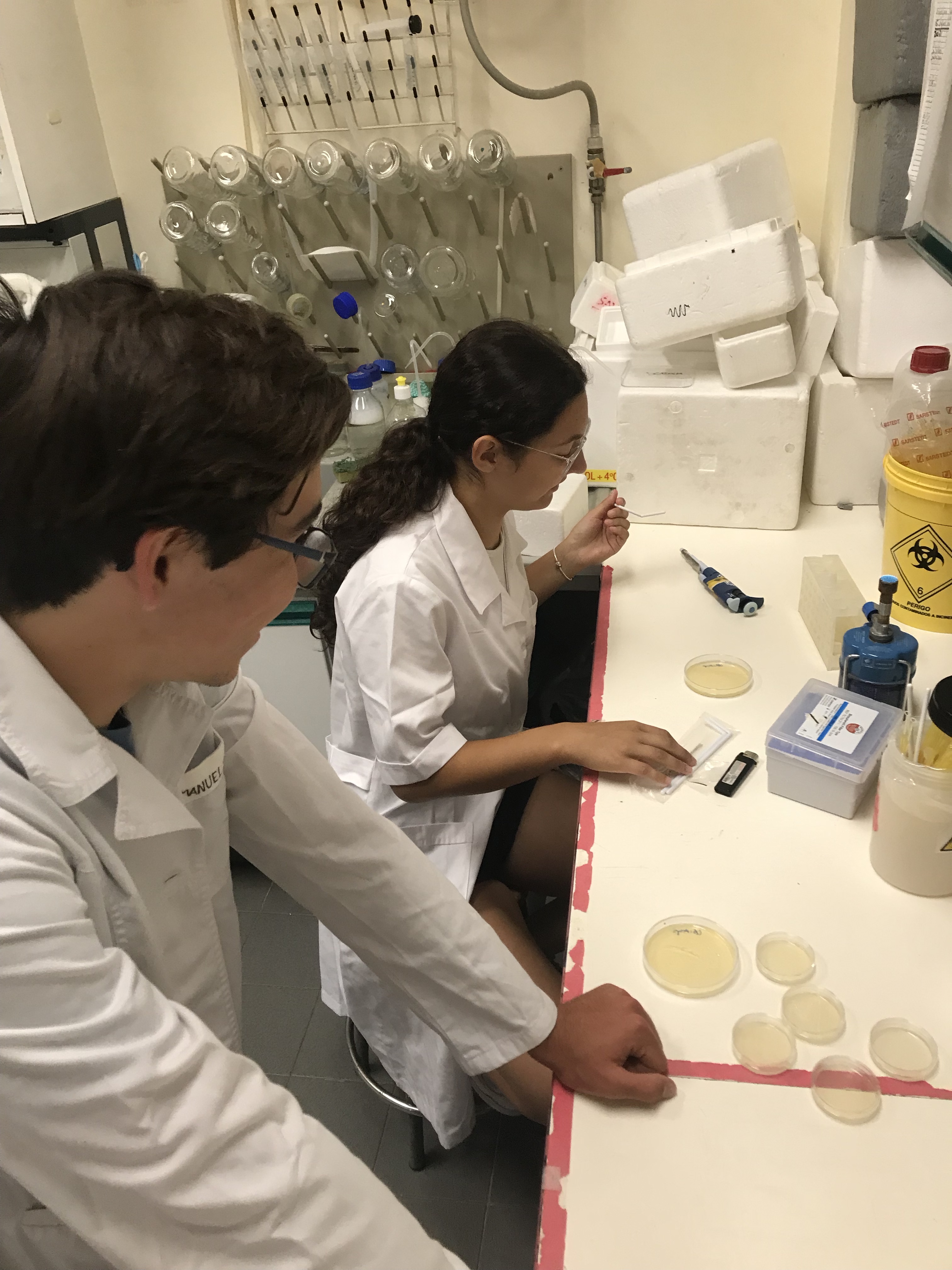 Ciencia Viva1