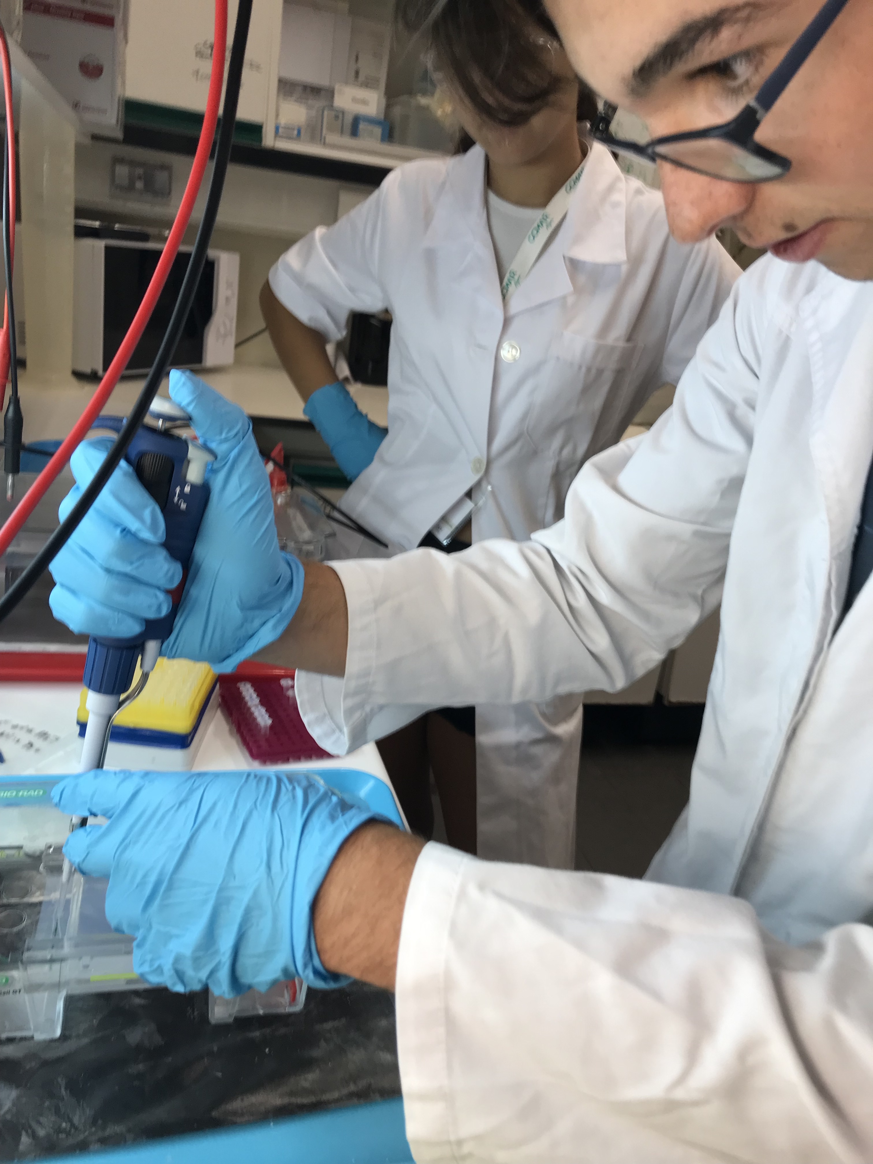 Ciencia Viva2