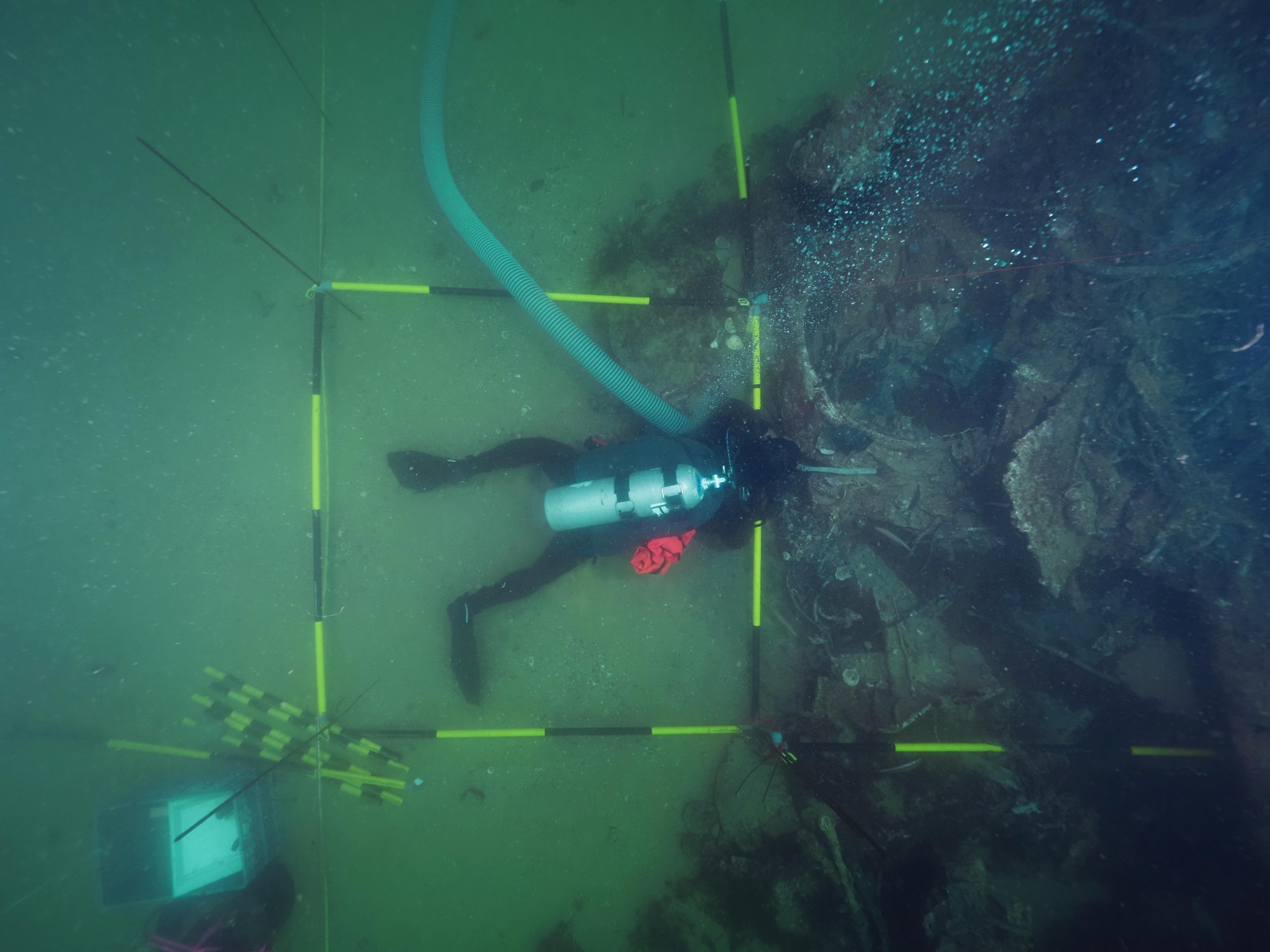 scientif dive
