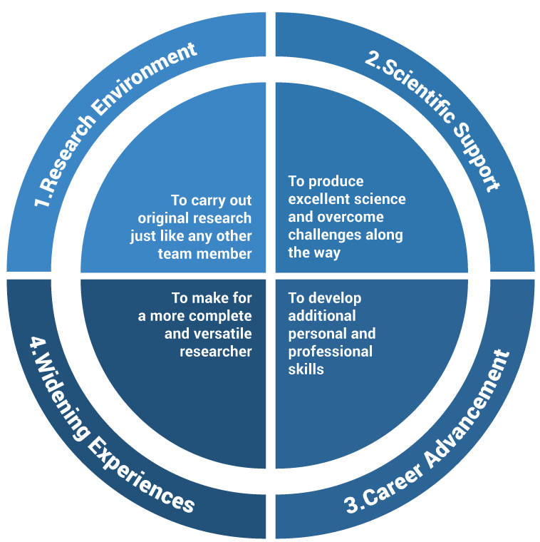 docschool 4 pillars