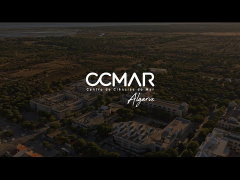 Preview image for the video "CCMAR - Promotional Video PT subs".