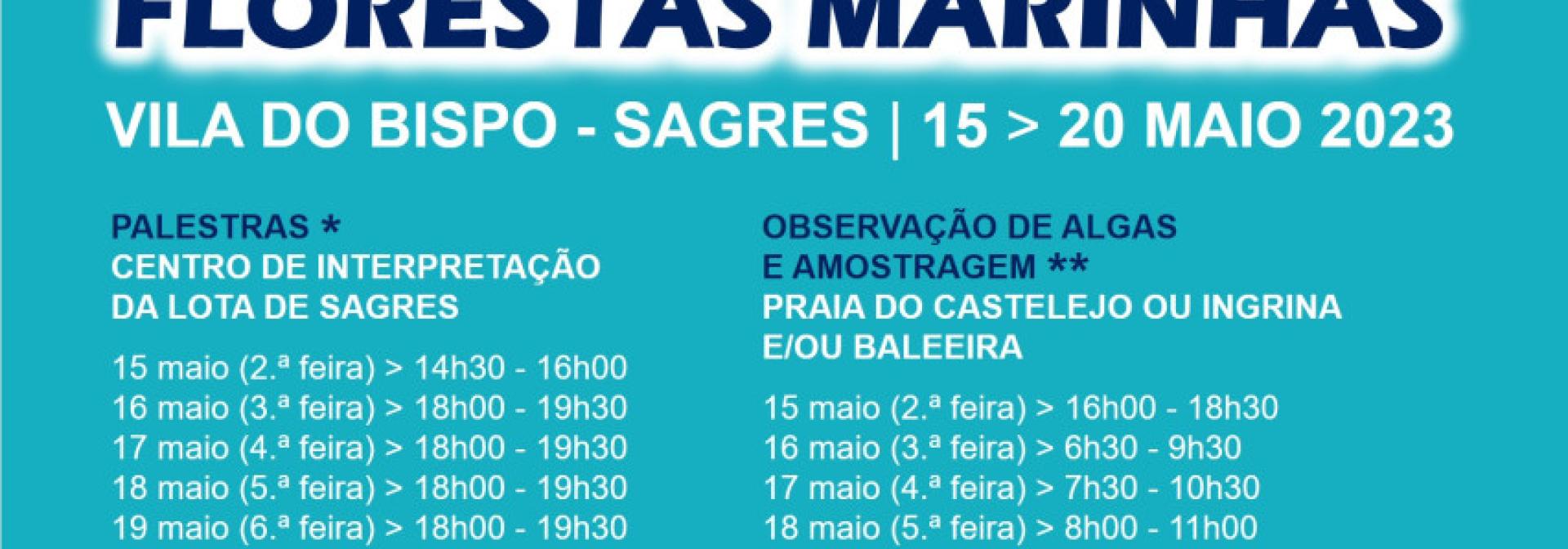 Generic representation of 1º Festival das Florestas Marinhas