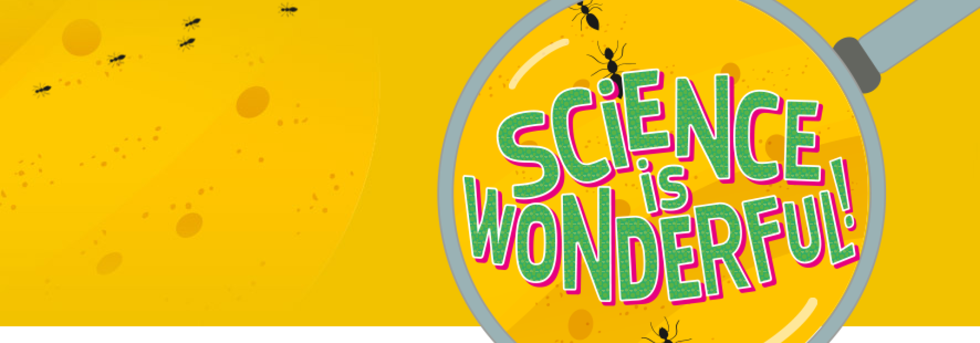 Generic representation of How to turn your smartphone into a 3D microscope?