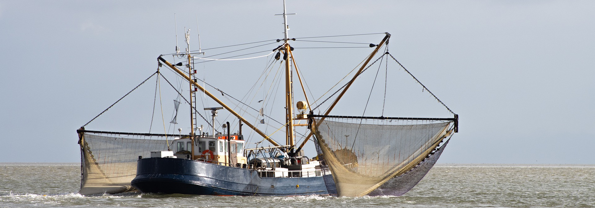 Generic representation of More than 290 researchers call for urgent World Trade Organization action on fisheries