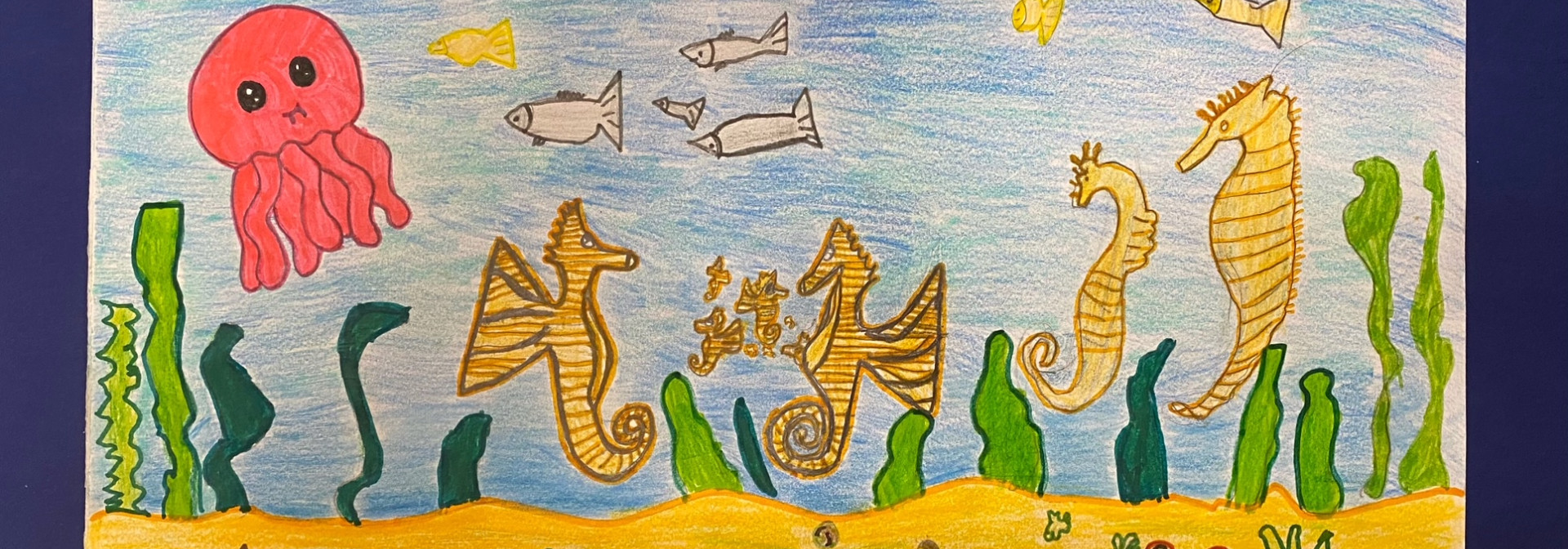 Generic representation of Second-grade students launch new seahorse awareness campaign