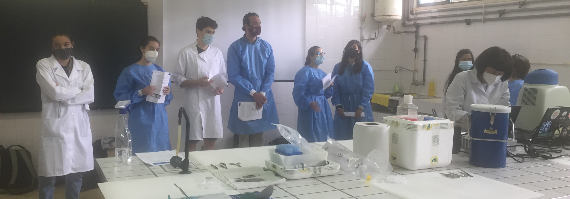 Generic representation of Workshop on Reproductive Biotechnology and Cryopreservation held with success
