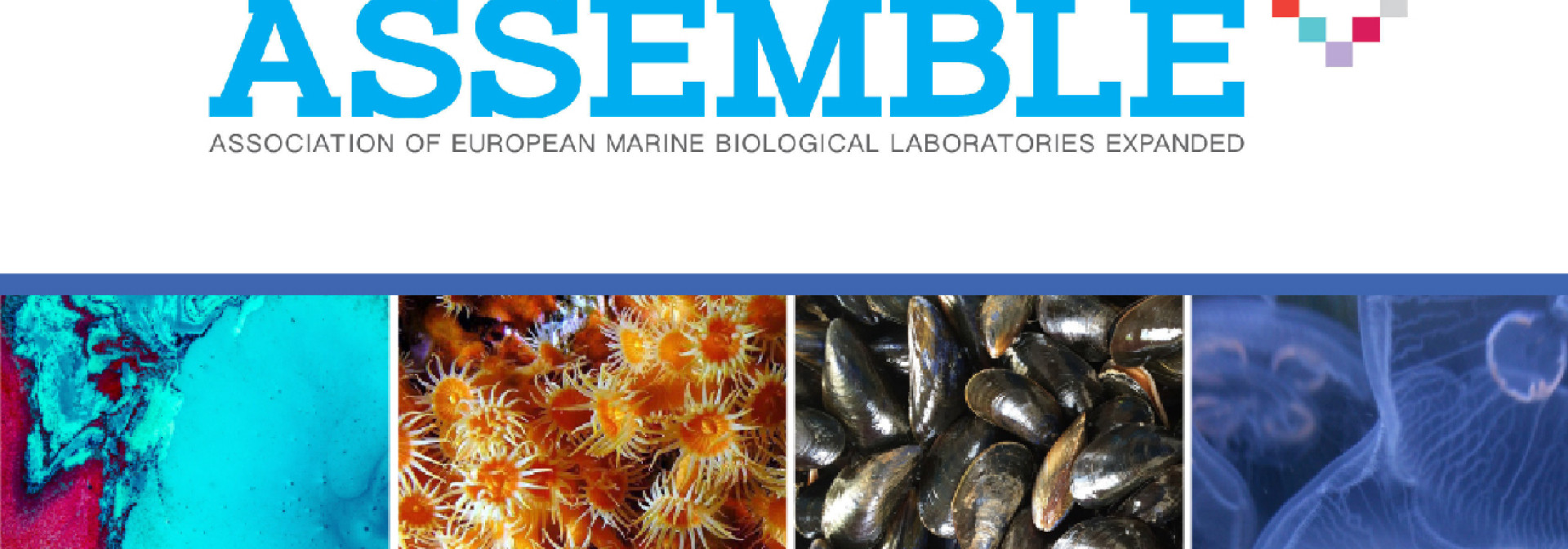 Generic representation of International conference gathers 400 participants to share experiences and opportunities in the field of the sea