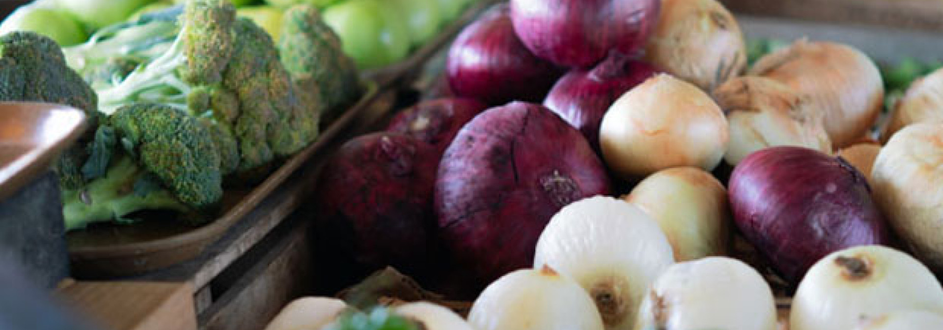 Generic representation of Novo projeto quer inovar o setor agro-alimentar do Mediterrâneo