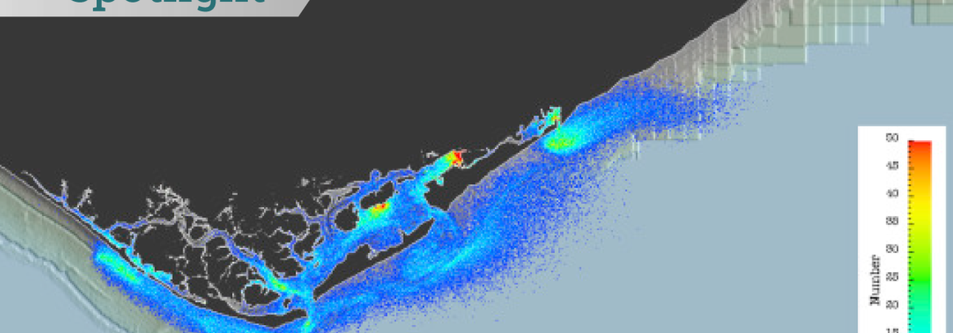 Generic representation of Study reveals the factors that influence recruitment and dispersion of fish larvae