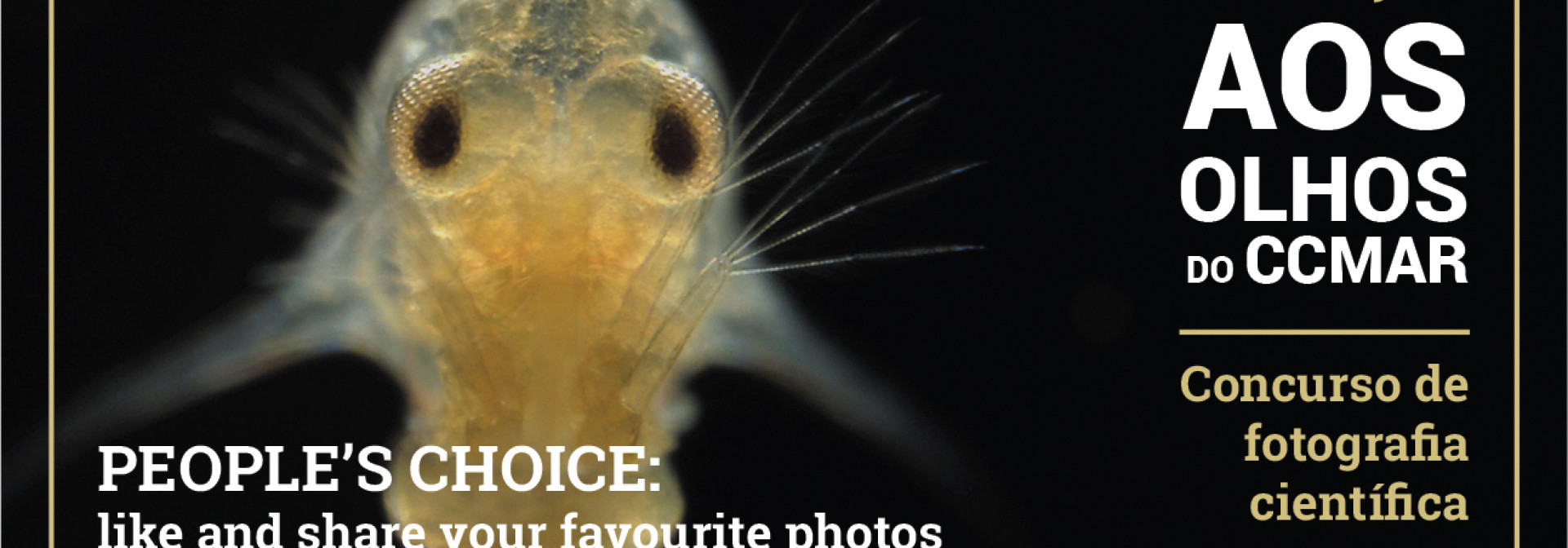 Generic representation of Aos Olhos do CCMAR - Vote until 4th March 3PM!