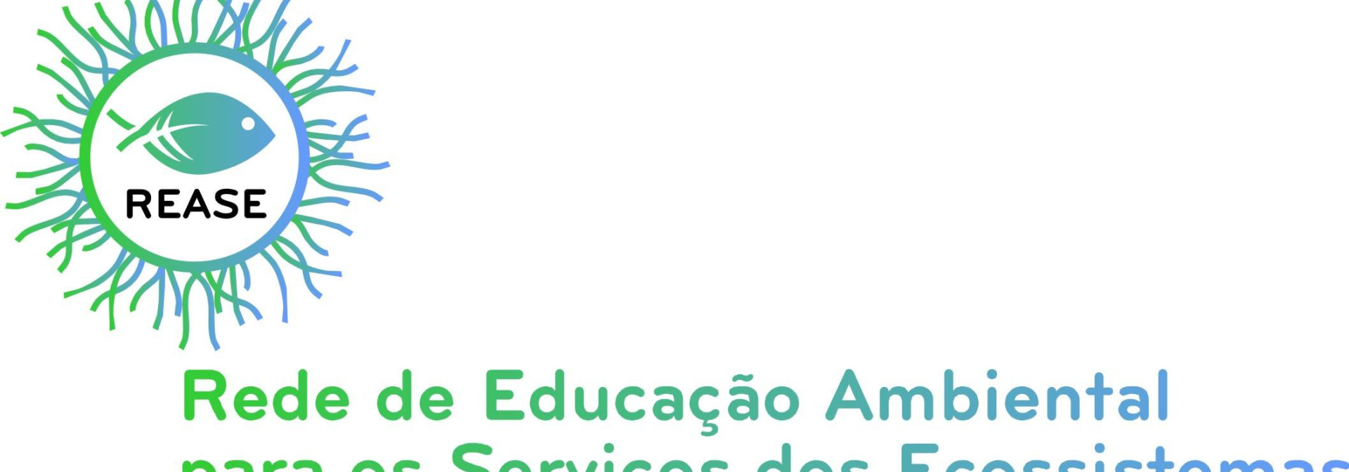Generic representation of Rede de Educação ambiental nasce no Algarve com o apoio do CCMAR