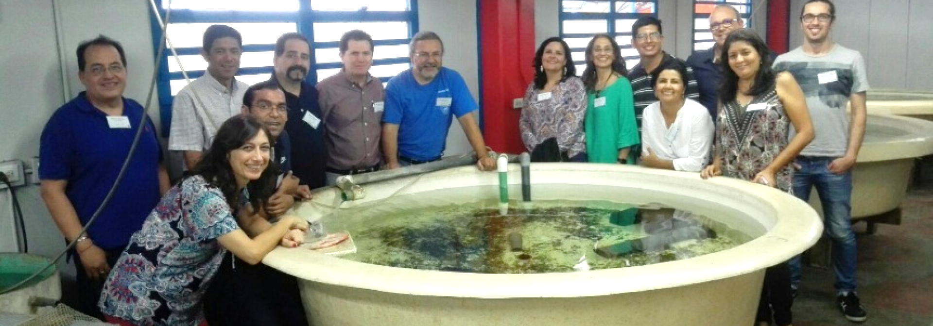 Generic representation of First meeting of the Iberoamerican CYTED network LARVAplus at Costa Rica