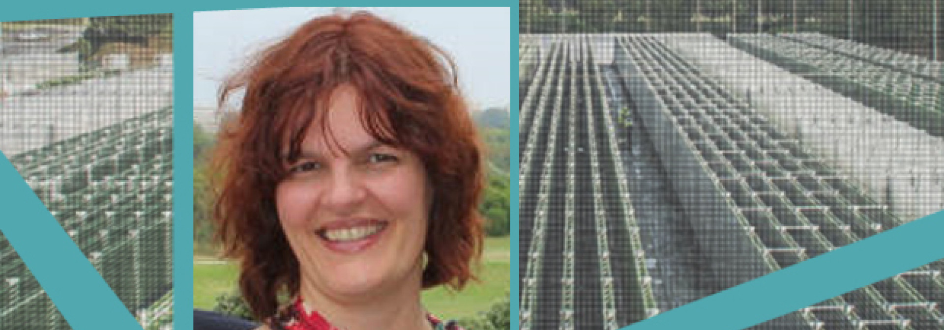 Generic representation of (CANCELADO) CCMAR Seminars: Industrial production of microalgae: ALGAFARM case study
