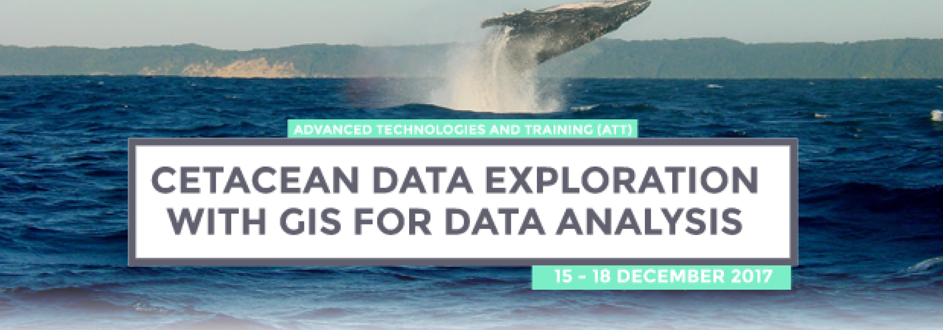 Generic representation of ATT: Cetacean Data Exploration with GIS for Data Analysis