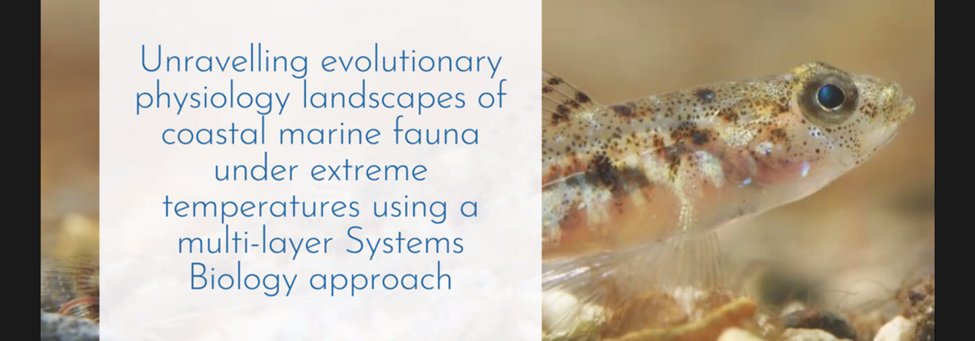 ExtremeOceans