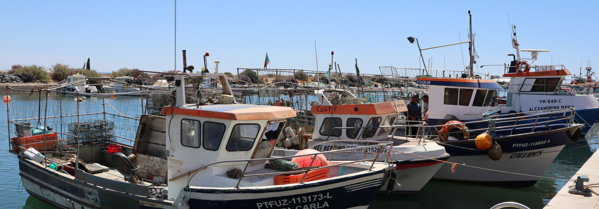Octopus Fleet