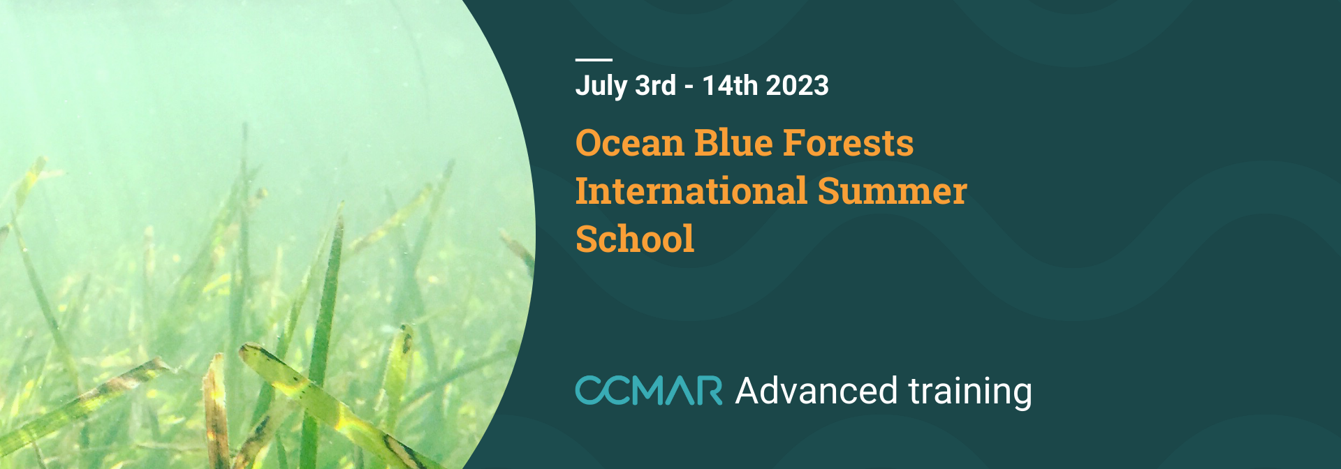 Ocean blue forests