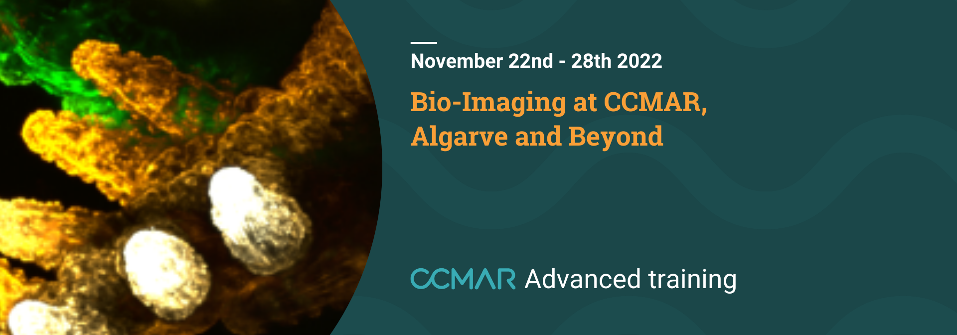 Bio-imaging