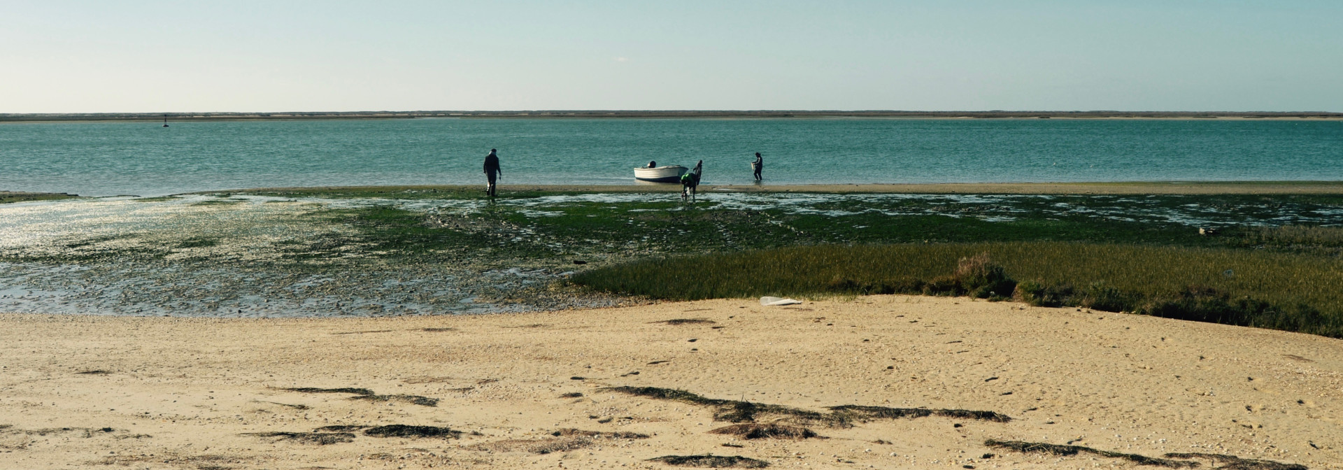Sampling Ria Formosa