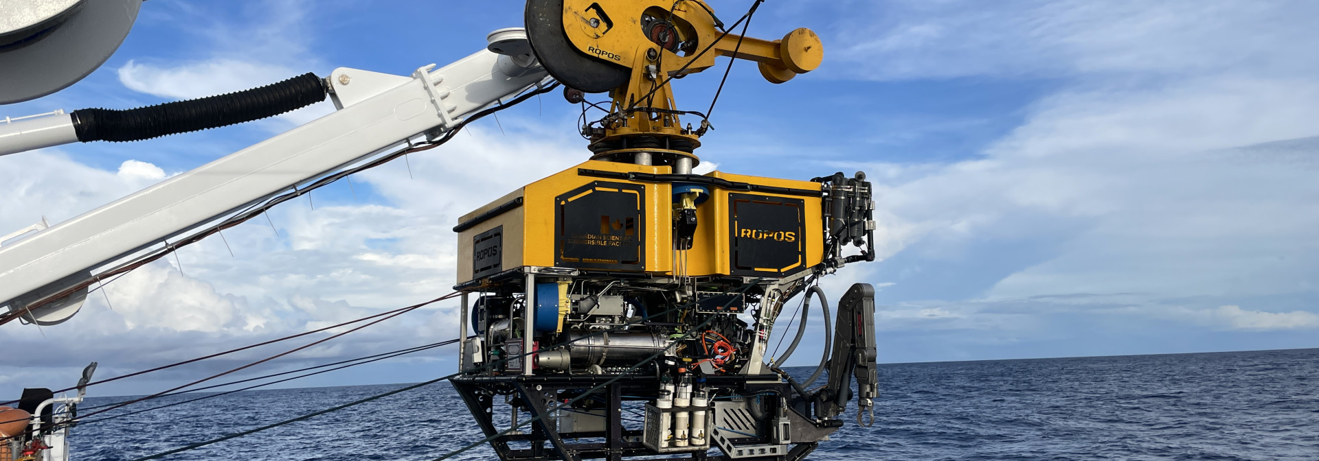 ROV Operation