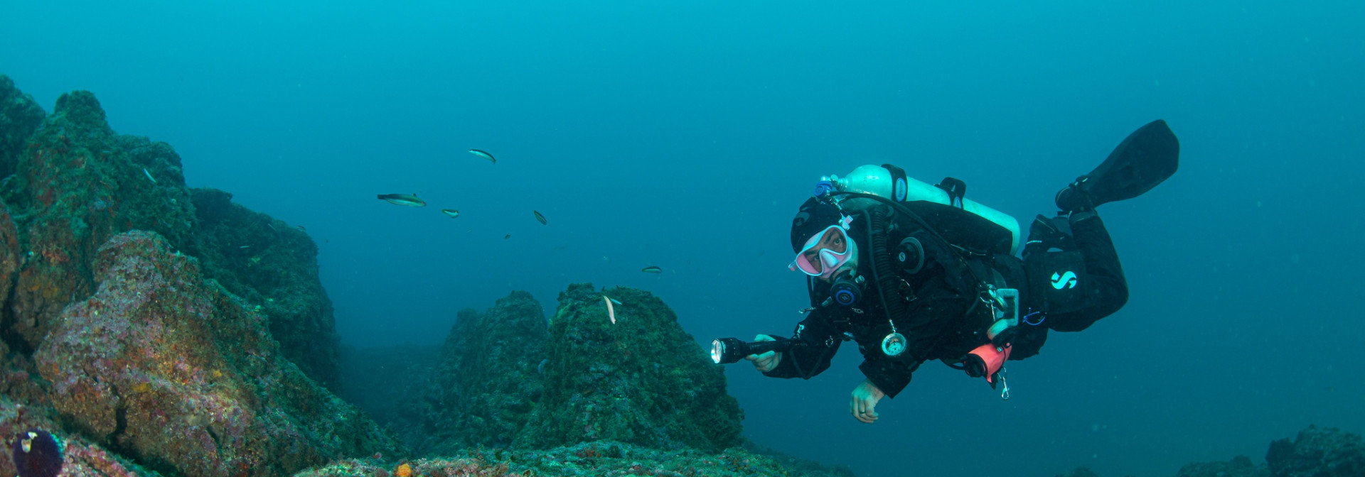 expedição científica pedra do Valado - mergulhador e estrela do mar