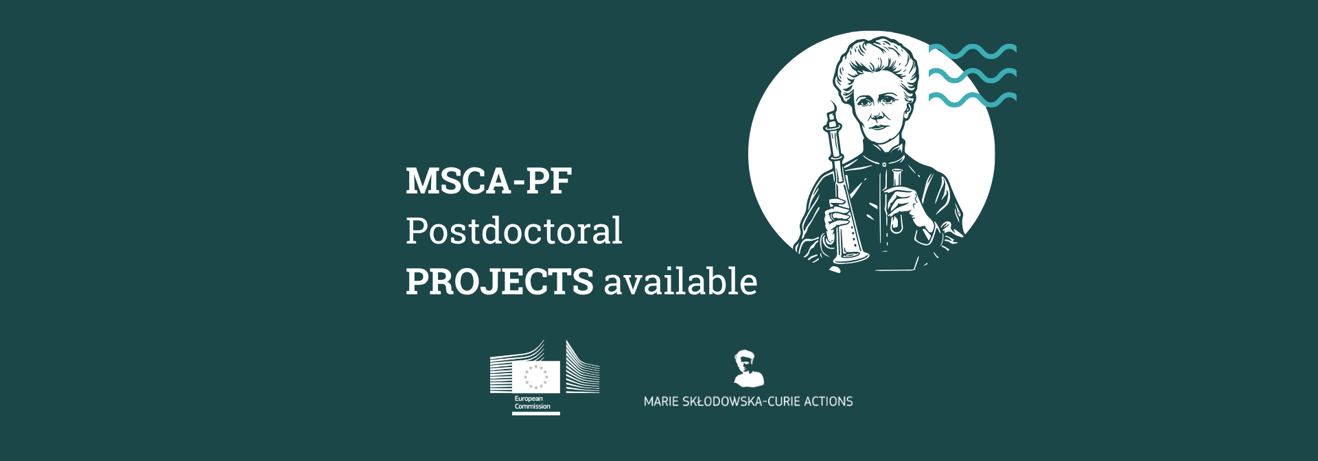 msca-pf 2026