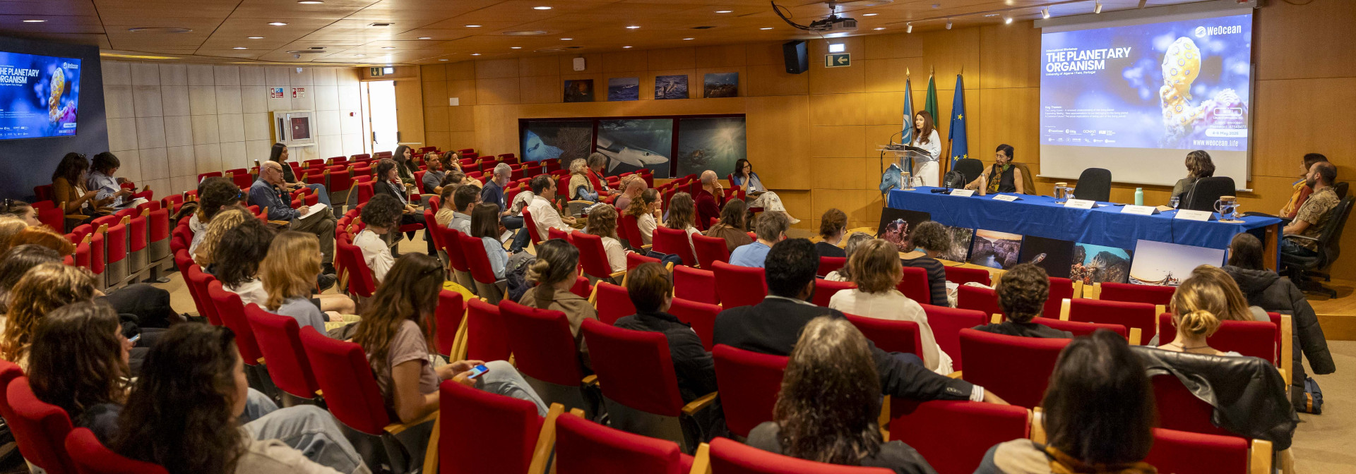 We Ocean Workshop