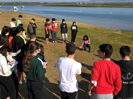 Generic representation of Novo projeto vai motivar os alunos do Algarve a prosseguir estudos científicos