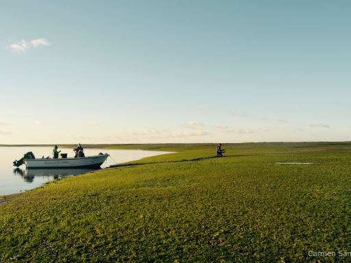 Ria Formosa - Carmen Barena de los Santos