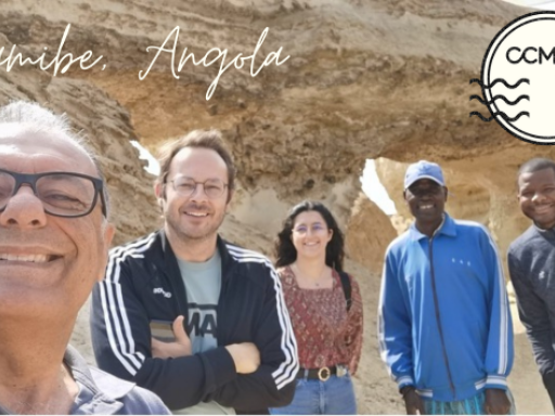 Generic representation of Fomos estudar os bivalves do Namibe