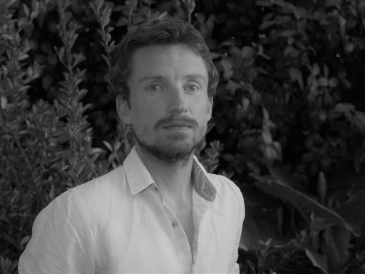 Generic representation of New on Board: David Palecek