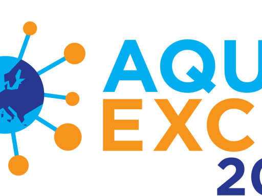 Generic representation of AQUAEXCEL2020