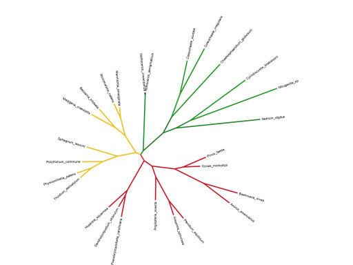 Generic representation of PSB
