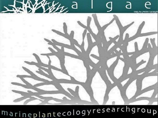 Generic representation of ALGAE
