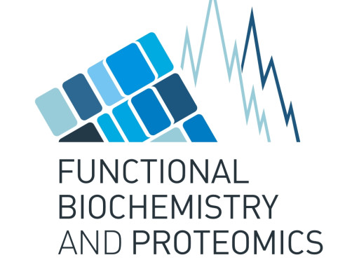 Generic representation of FBP