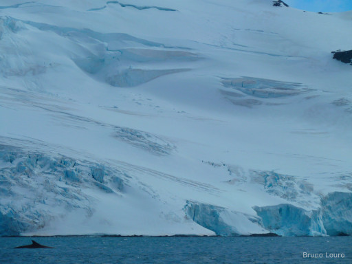 Generic representation of Why did the Earth’s climate cycles changed 700 thousand years ago ?