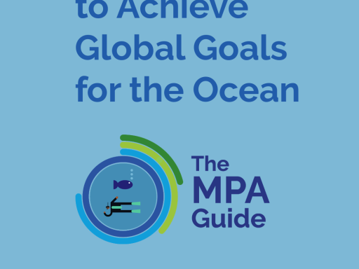 Generic representation of Scientists from around the world unite to implement effective marine protected areas 