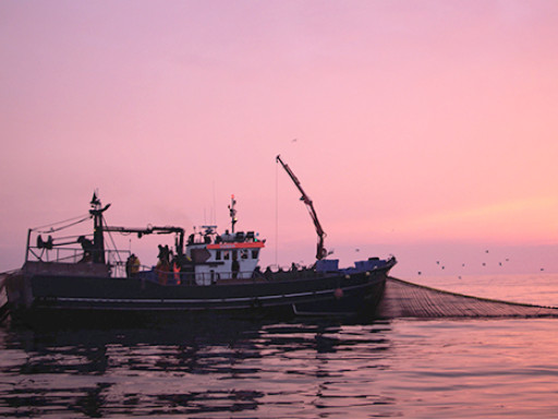 Generic representation of The Paris Agreement will likely benefit North Atlantic fisheries