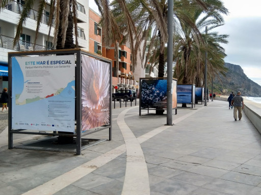 Generic representation of Programa BIOMARES lança exposição fotográfica em Sesimbra