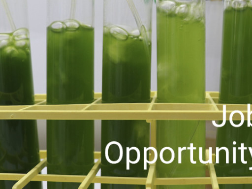 Generic representation of Seaweed cultivation and biotechnology
