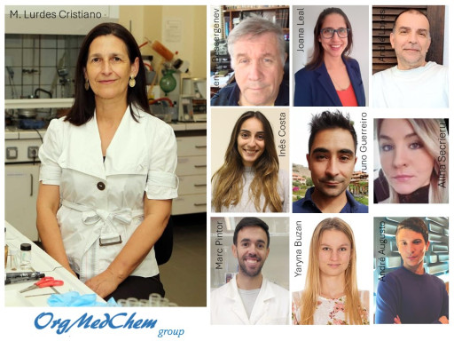 OrgMedChem group_photo