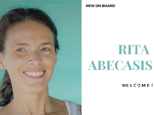 Generic representation of New on Board: Rita Abecasis