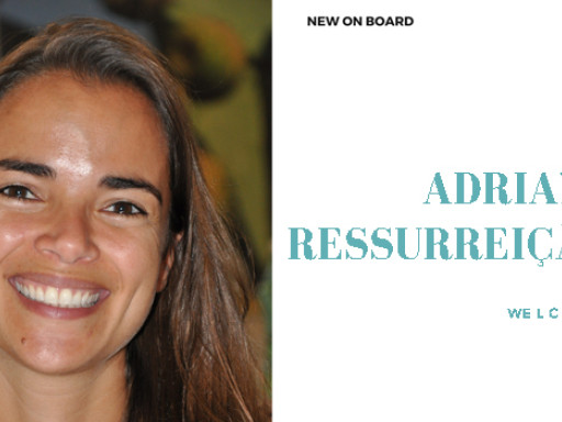 Generic representation of New on Board: Adriana Ressurreição