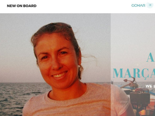 Generic representation of New on Board: Ana Marçalo