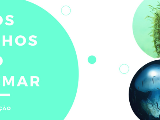 Generic representation of Concurso Aos Olhos do CCMAR 2016 - 2ª edição