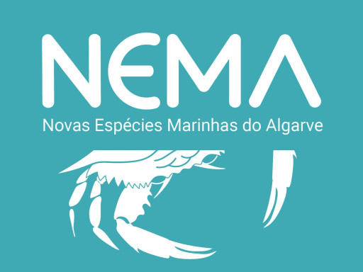 NEMA