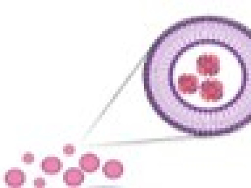 GRP loaded Extracellular Vesicles 