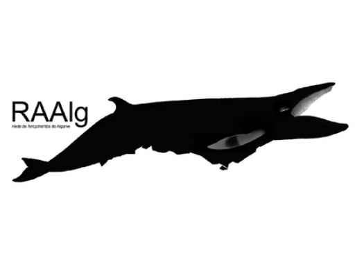 Generic representation of RAAlg