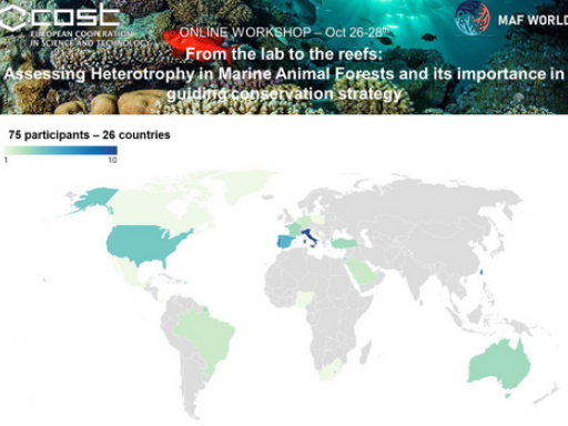 Generic representation of Workshop on the importance of heterotrophy for marine animal forests was a success!