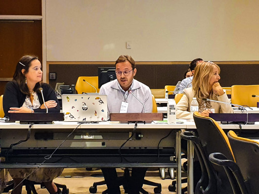 Generic representation of Projeto Namibe apresentado na ONU